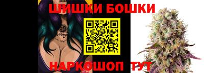 spice Новозыбков