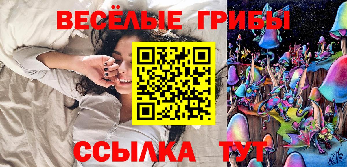 Псилоцибиновые грибы ЛСД Славгород