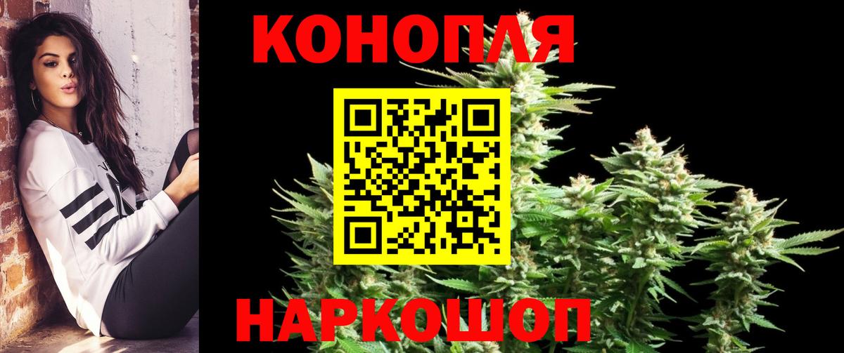 Славгород  Бошки Шишки гибрид  Вход с VPN  Марихуана индика  Каннабис OG Kush 